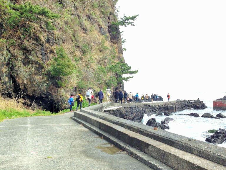 夏休みの子連れ旅行に最適！自由研究がはかどるキッズフレンドリーな宿