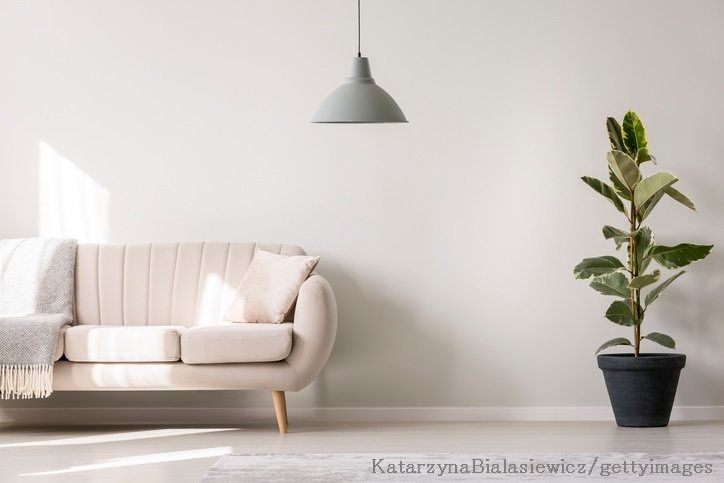 シンプルな暮らしを目指す！整理達人が捨てたもの