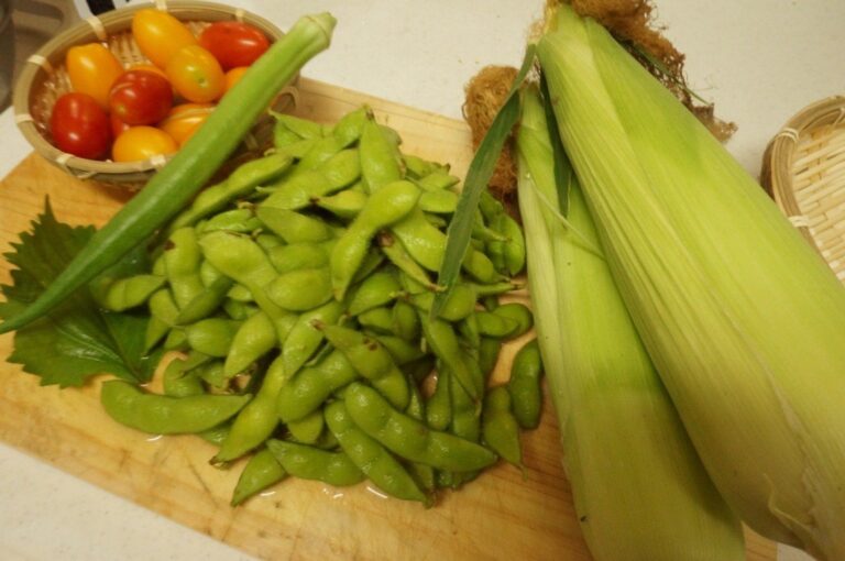 春からはじめたい家庭菜園！みんなが収穫した野菜は？