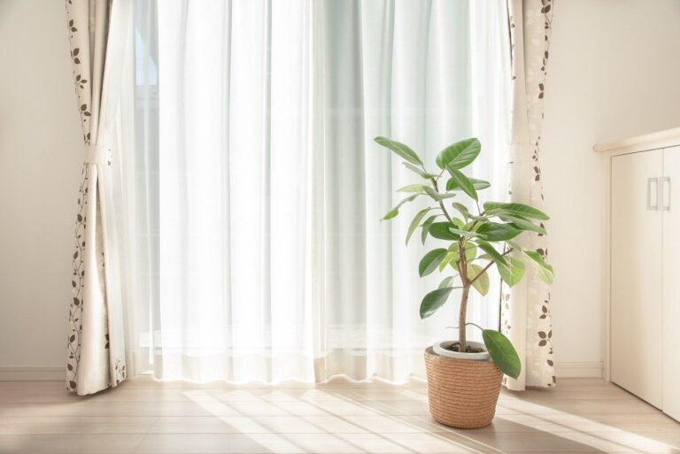 家をキレイを保つために捨てたもの＆買わないもの