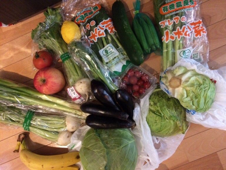 子ども3人以上でも月食費3万～4万円で乗り切るコツとは