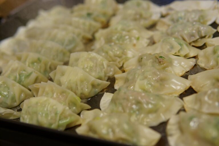 【DAISO】グッズを使って、子供とストレスフリーな餃子作り