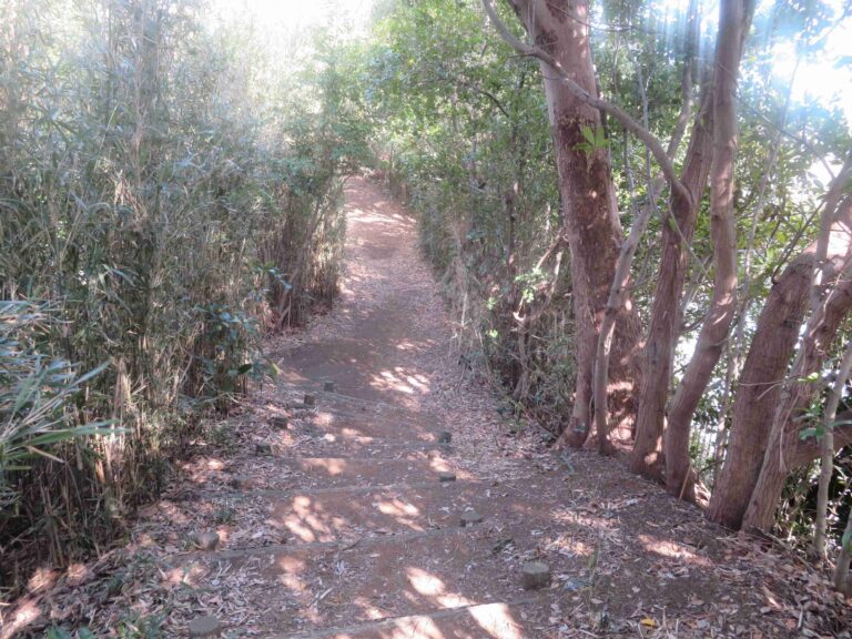 疲れて動けない人にこそおすすめ！心と体を癒す散歩法