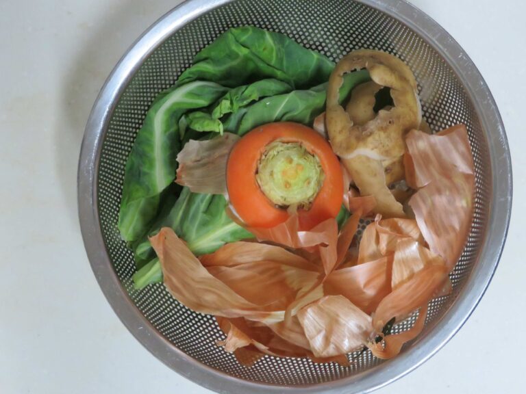 【捨てる前にもうひと働き】生ごみを再利用する4つの方法