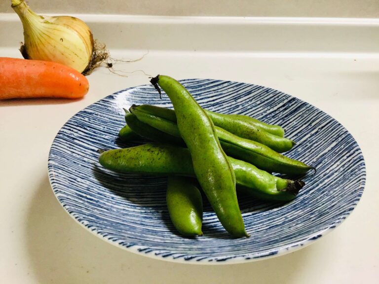 【ニトリ】今すぐ集めたい！超軽量食器karu:ecleシリーズが可愛くておしゃれ！