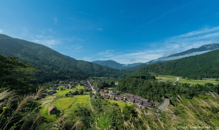 デトックス効果のある春の山菜！子供も喜ぶ人気レシピをご紹介