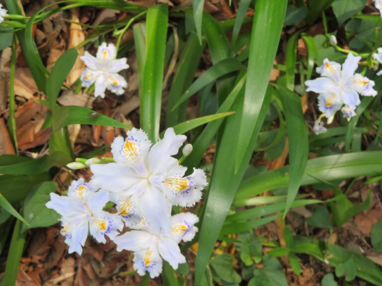 初老と言うべきか不惑と言うべきか……40歳になりました