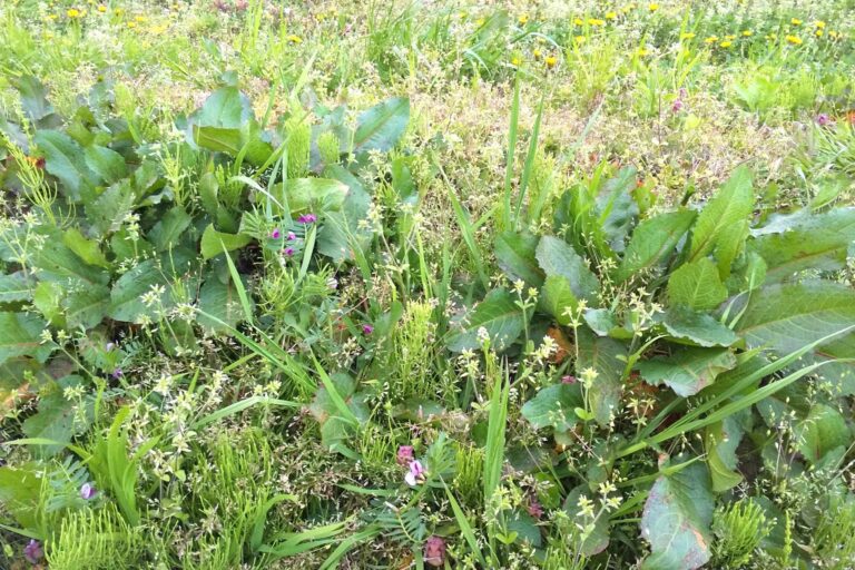 無心になって不安も軽減⁉久しぶりに○○をしてみて発見したこと