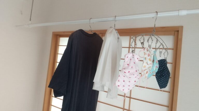 【ニトリ】ワンコイン以下でお、ねだん以上。ステンレスのオシャレで機能的なハンガー4選