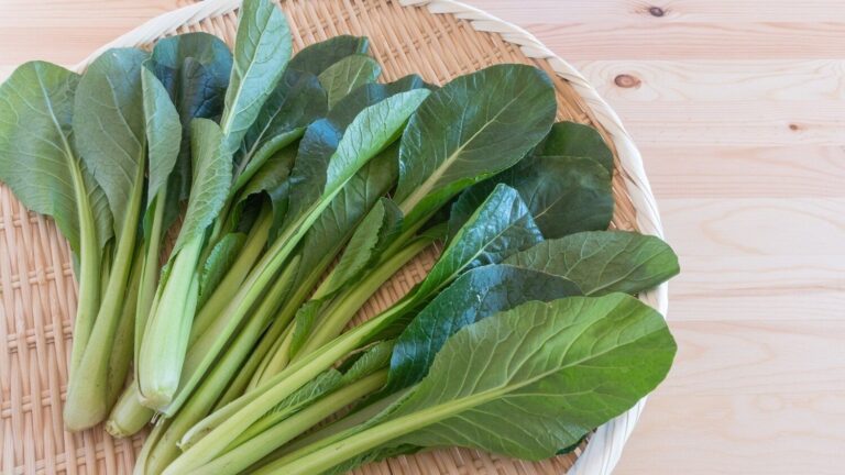 【管理栄養士監修】「小松菜」の主な栄養素とカロリーまとめ！おすすめな調理方法とレシピ3選