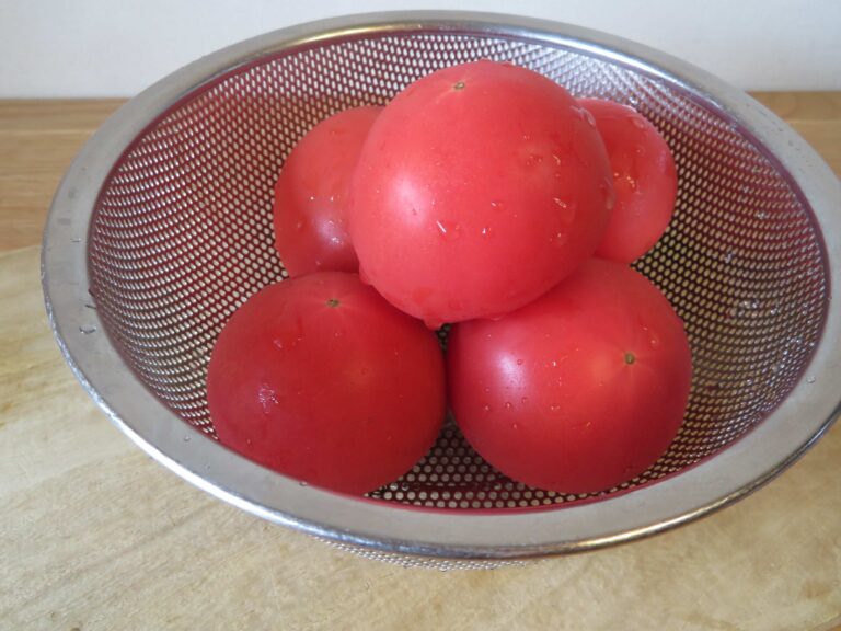 食欲のない夏もさわやかに！旬のトマト料理2つを紹介