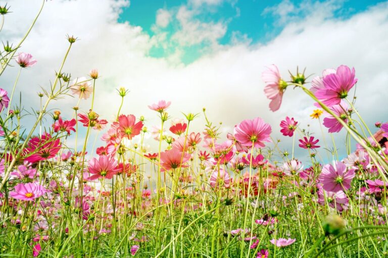 【朝習慣】誰でも明日から早起きができるようになるコツ4選