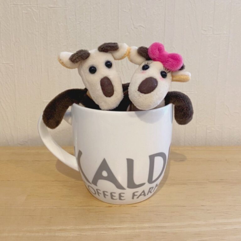 【自己紹介】週3でカルディに通う！カルディ大好き主婦なかべぇです！！