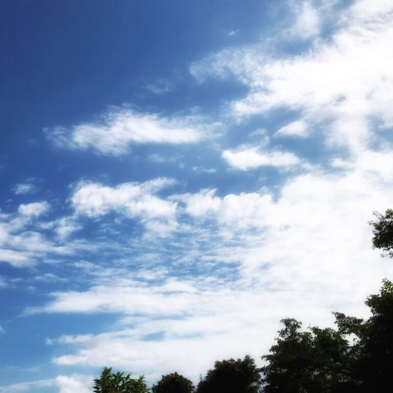 コロナ禍にも猛暑にも負けない！我が家の夏の過ごし方