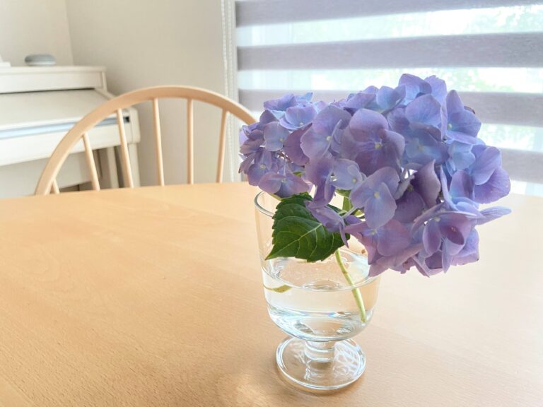 捨てるものが決められない！そんなあなたにやってみて欲しいこと。