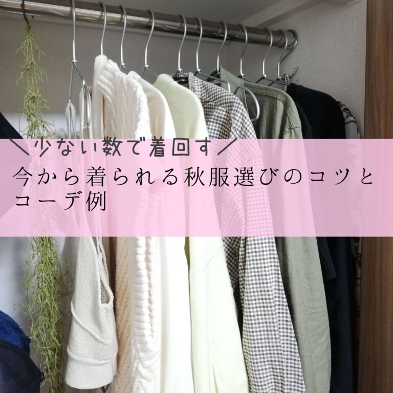 【少ない数で着回す】今から着られる秋服選びのコツとコーデ例