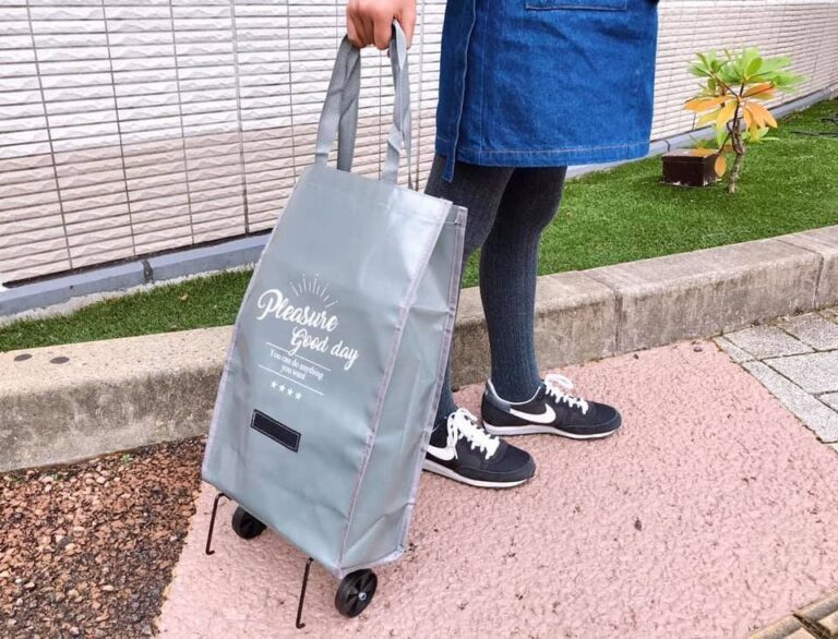 「これが300円とは驚き！」と暮らしの達人も絶賛したダイソーの超優秀バッグって!?