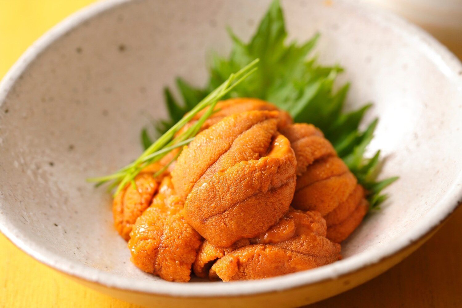 【管理栄養士監修】「うに」の主な栄養素とカロリーまとめ！ダイエットに効果がある？ - サンキュ！