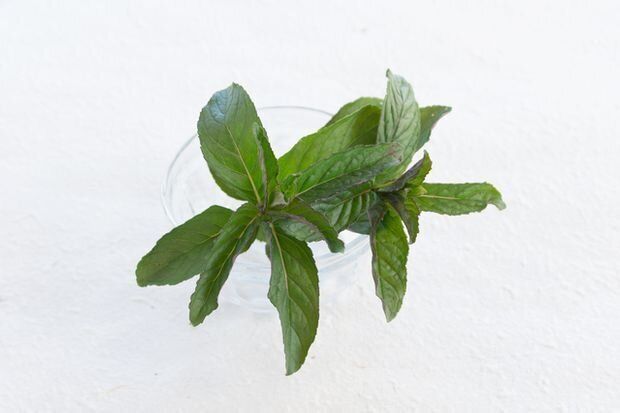 ハッカ油スプレーの作り方・使用法7選！バスオイルから虫除けまで幅広く使える万能スプレーの使い方を紹介