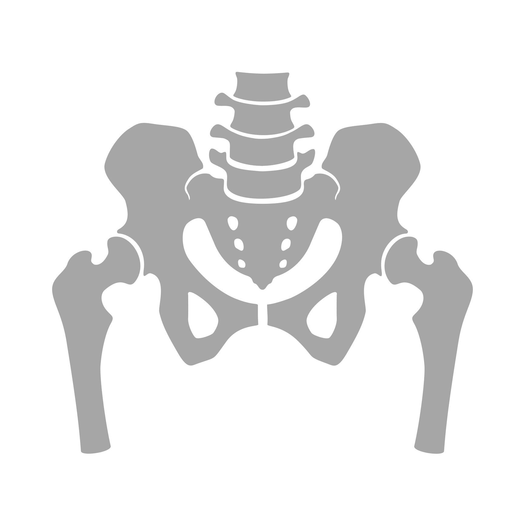 人間の骨格の構造の断片。骨盤ガードルと太もも。