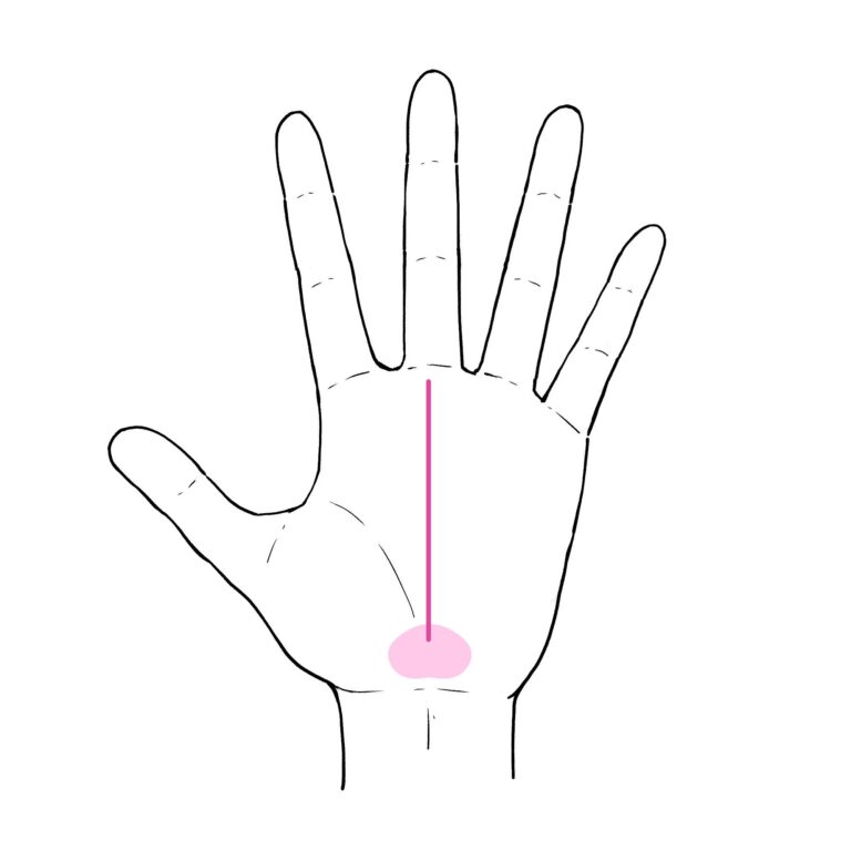 「当たりすぎて怖い」と話題の手相術！3秒でわかる「あなたが成功する方法」！