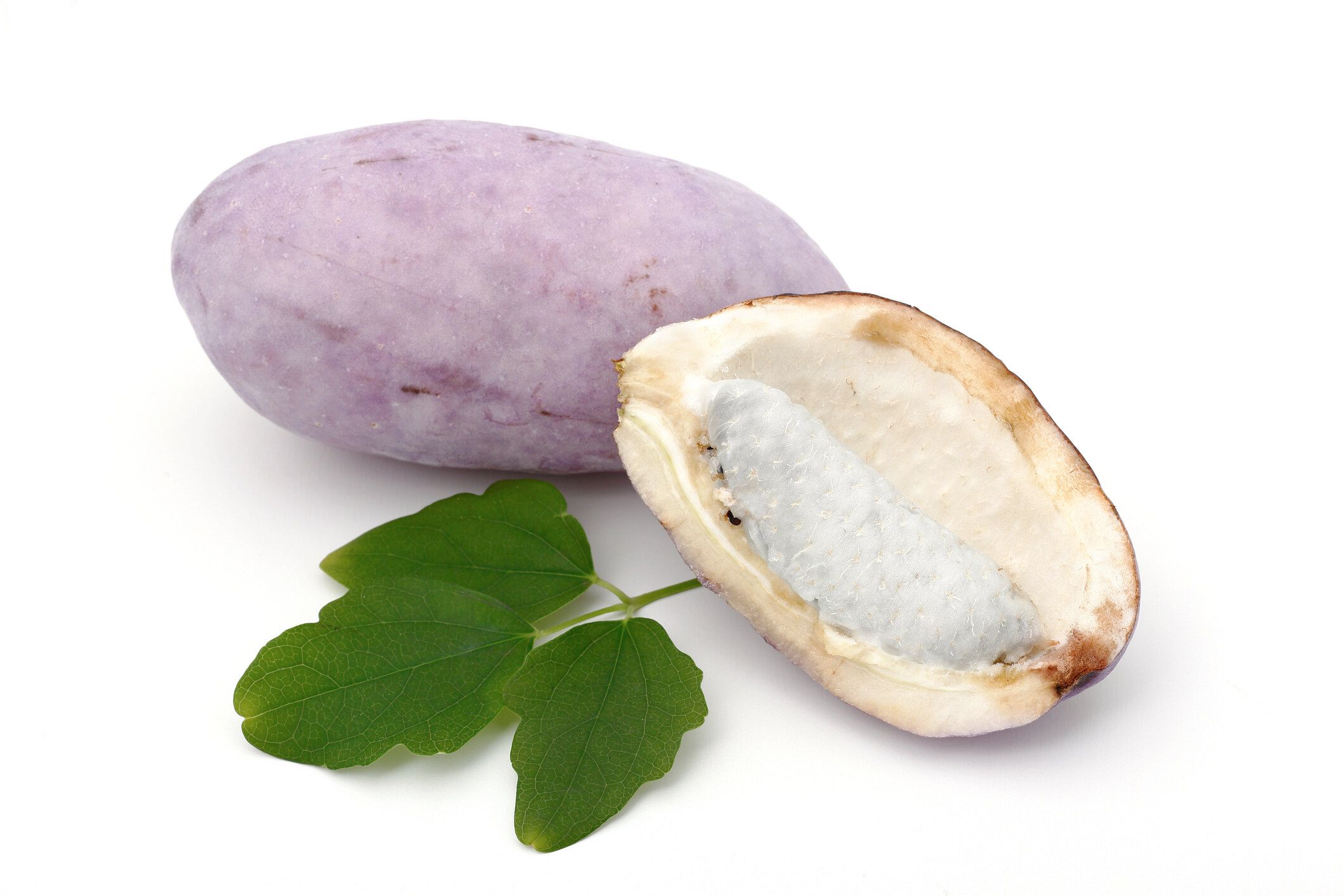 白い背景にアケビ