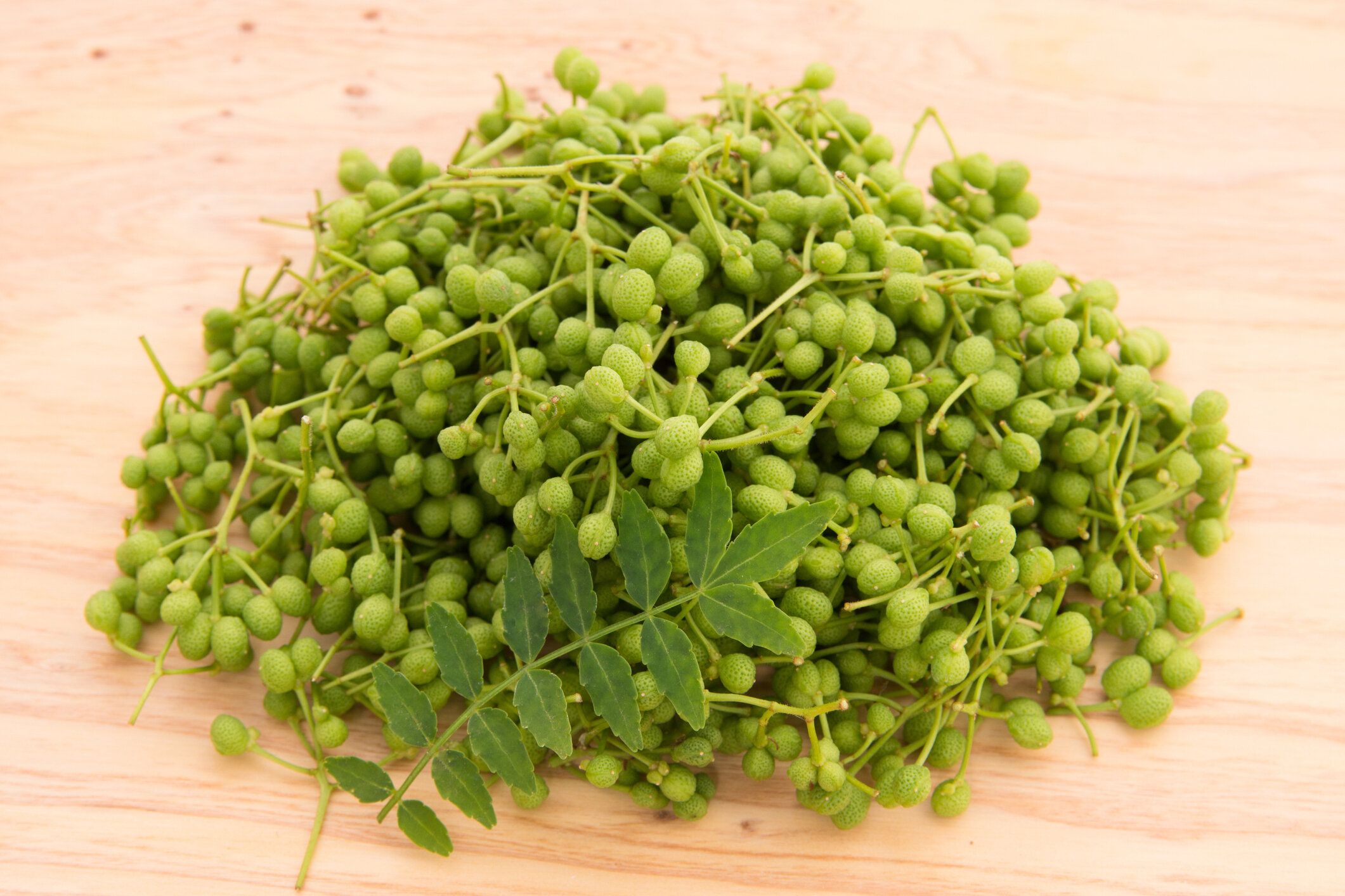 日本のコショウ