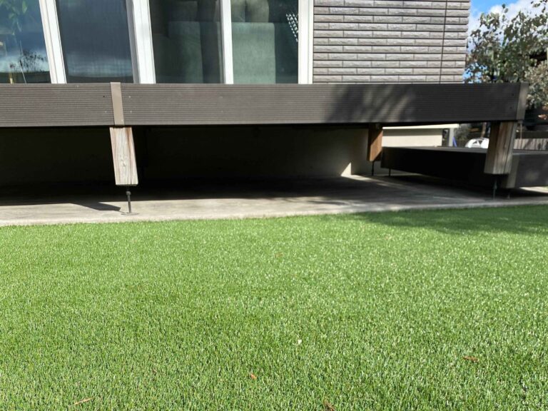 コロナ禍に悩んだ末、あえて使った100万円の使い道は…？