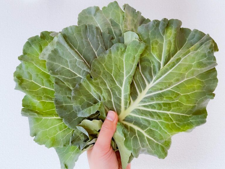 今さら聞けない「ケール」ってどんな野菜!?どうやって食べる!?