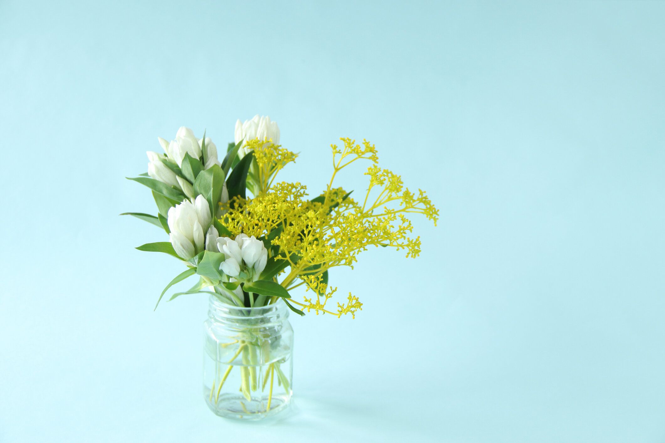 ジェンティアンとパトリニア