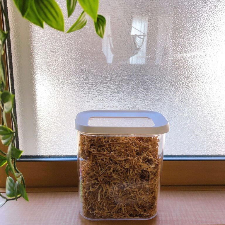 食費２万円を支える乾物達