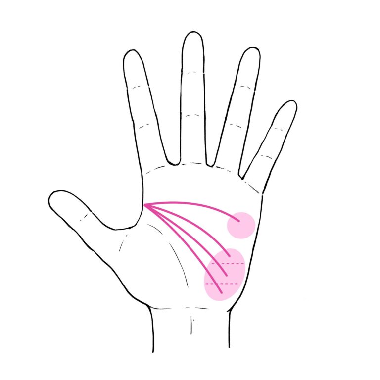 当たり過ぎて怖いと話題の手相占い！頭脳線でわかる「本当に向いている仕事」のタイプとは？