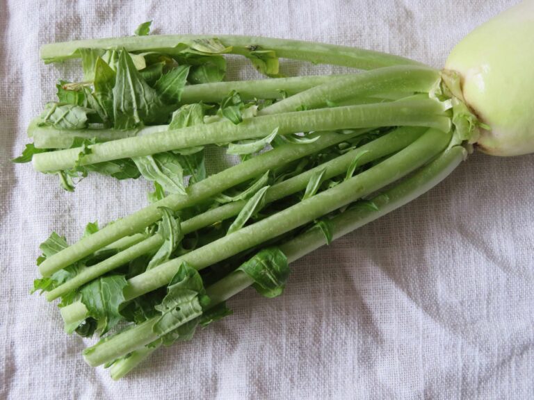 大根の葉っぱっておいしい！どこで買う？どう食べる？