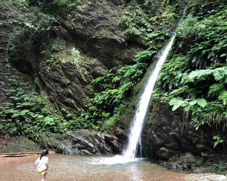 【1日家事休み】が出来たらどう過ごすか想像してみましょう！