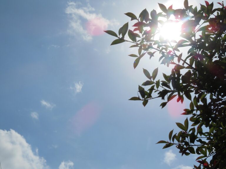 時間に追われるズボラ主婦が朝「あえてやらない」こと3つ