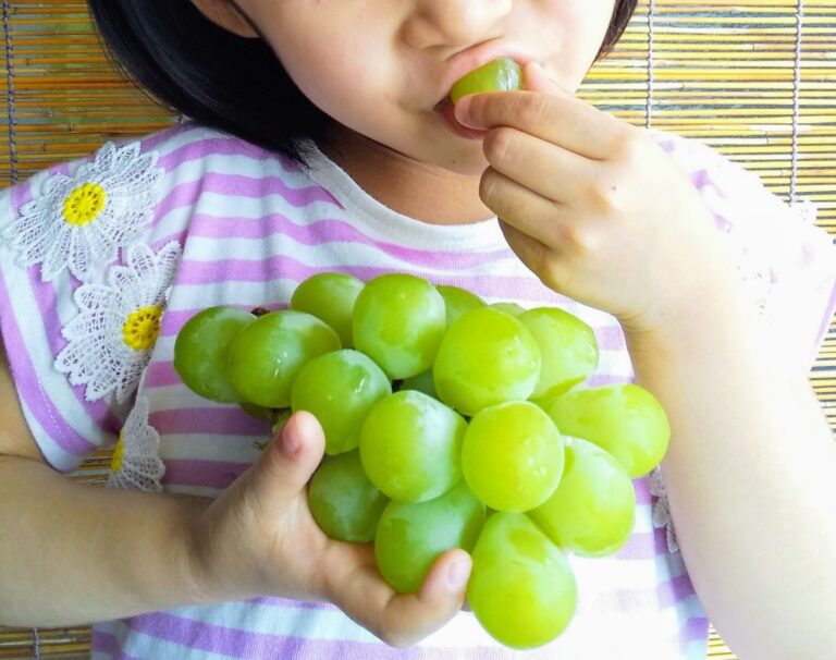 一番甘くなる温度は〇℃だった！冷やすべき果物の種類とその理由とは？