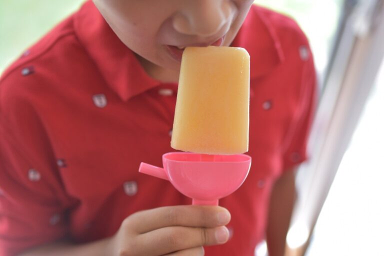 この夏リピート決定！ダイソー「アイスバーメーカー」はコスパ◎＆おいしくてテンションアップ間違いなし