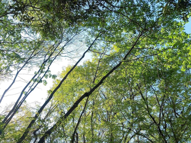 年200万円貯める主婦が伝授！貯まらない人がまず変えるべき「あいまいな習慣」3つ