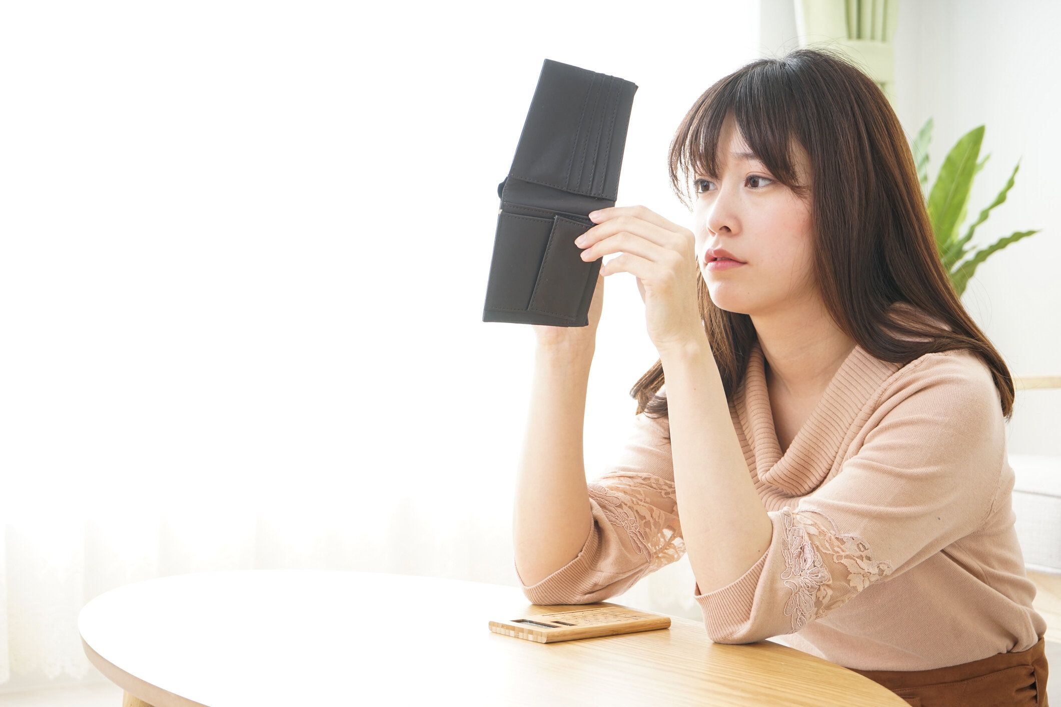 国内口座を把握する若い女性