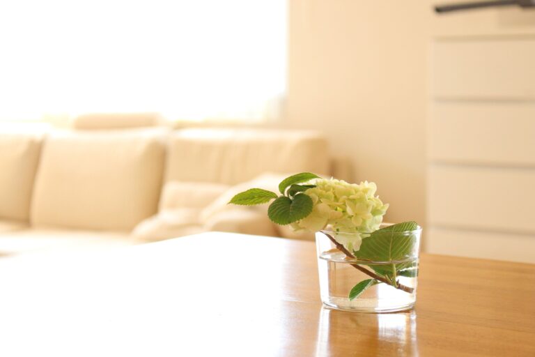 もっと早く出会いたかった！苦手だったアイロン掛けを楽にしてくれた神アイテム！