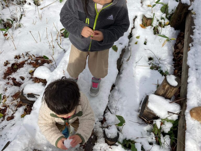 フリマアプリ取引き件数500の主婦が今出品する物は⁉︎