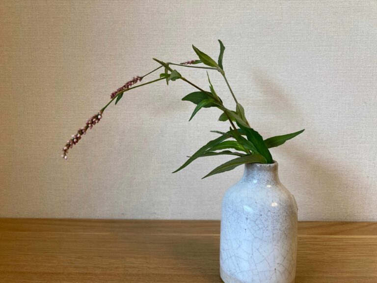 雑草を活けたっていいじゃない！素敵に見えるちょっとした工夫