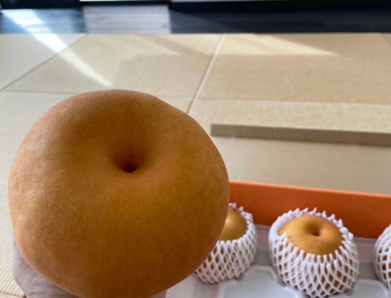 【ふるさと納税】こんなルールがあるって知ってた？ワンストップ特例制度の注意点！