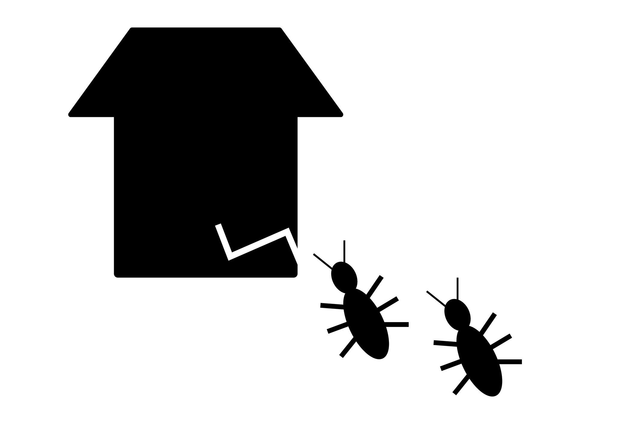 シロアリの損傷