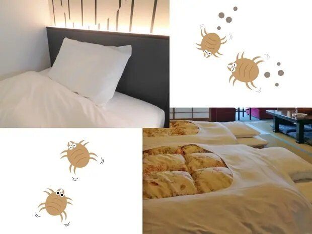 ダニの被害を減らしたい！ベッドと布団、予防が簡単なのはどっち？