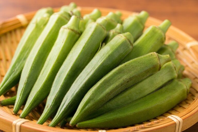 【管理栄養士監修】「オクラ」の主な栄養素とカロリーまとめ！おすすめな調理方法は？