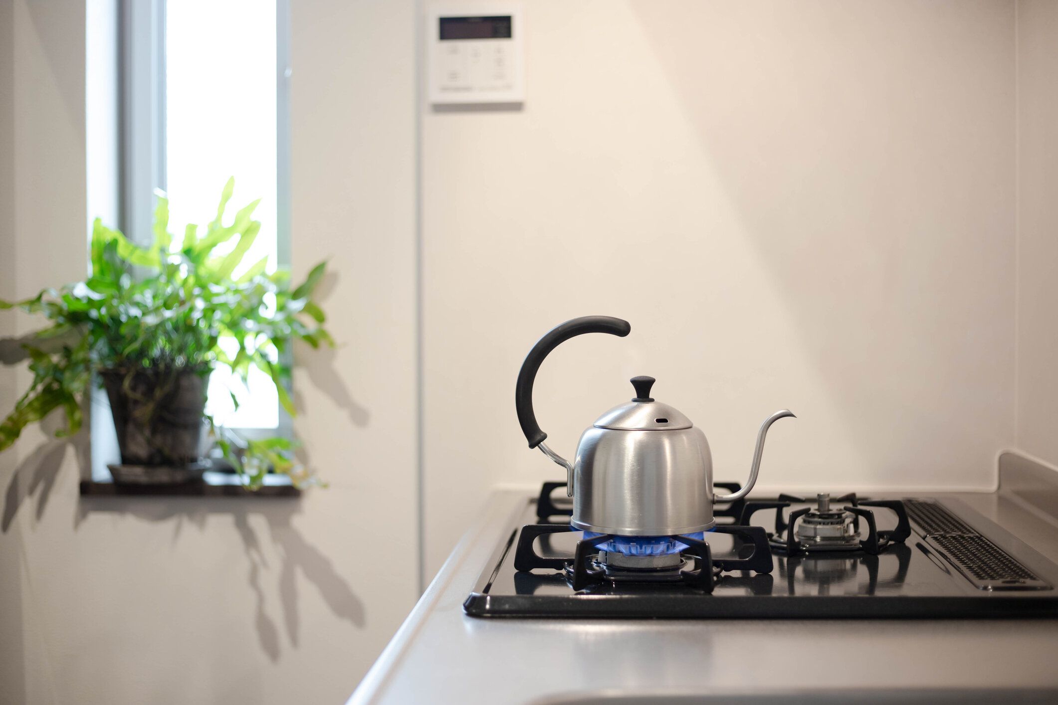 キッチンの範囲にコーヒーポット。