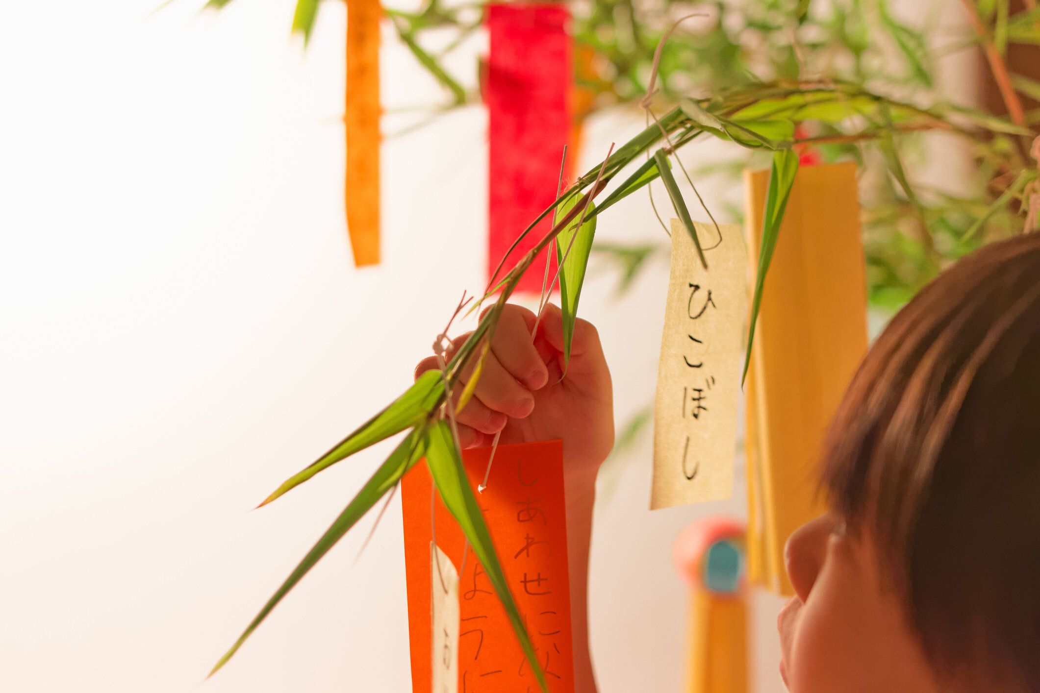 「星フェスティバル