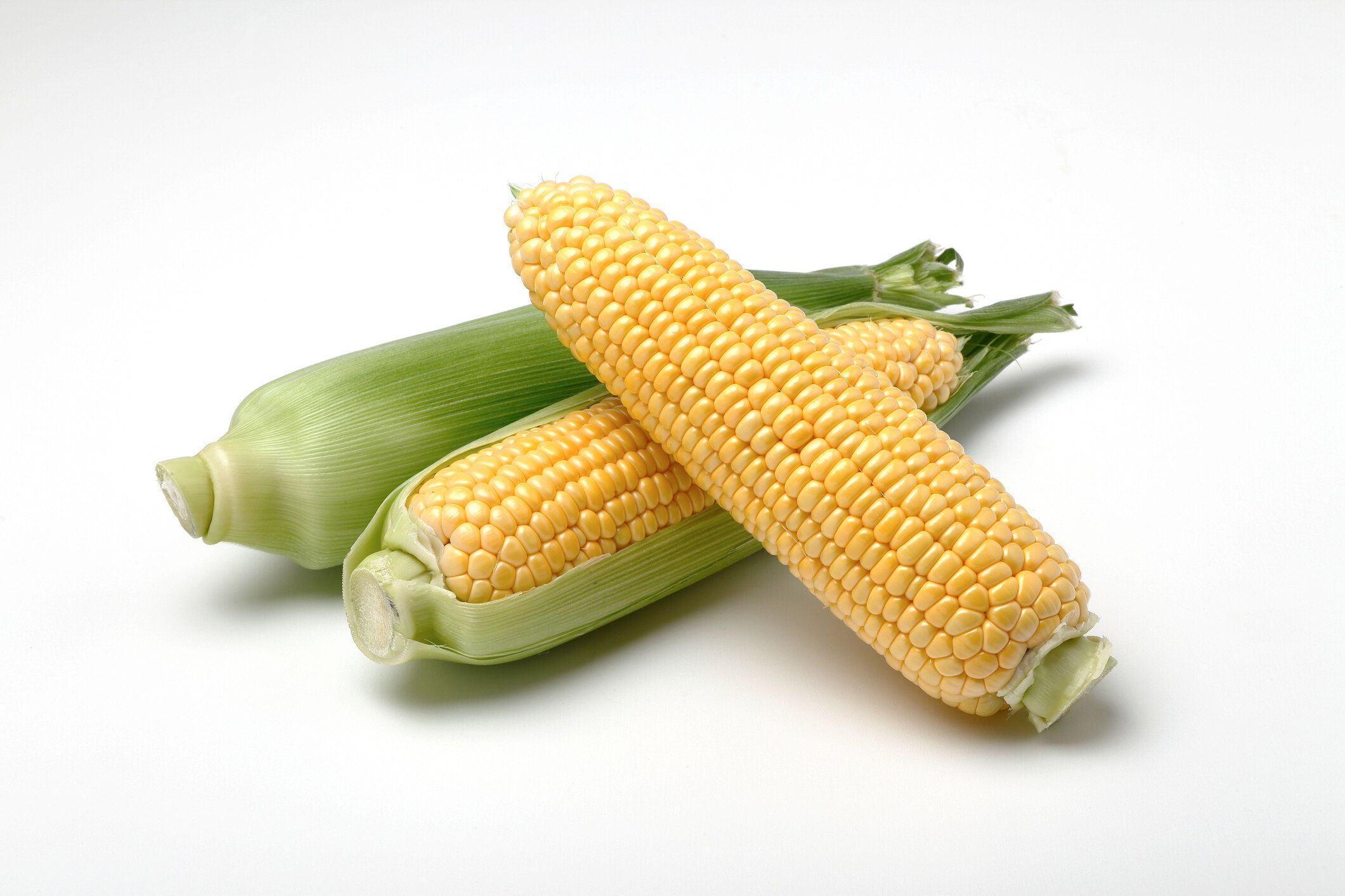 白い背景にトウモロコシ