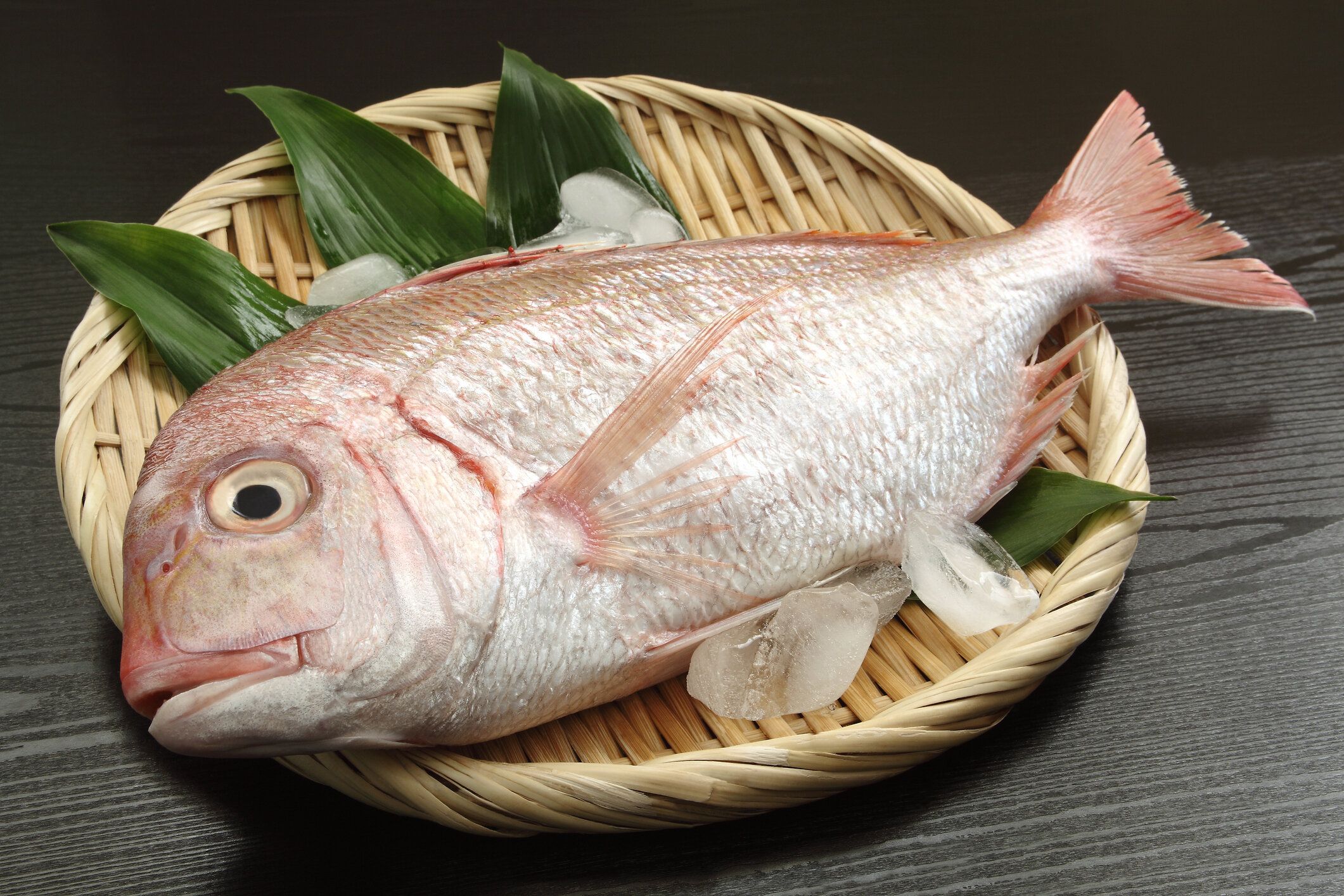 ザルに氷の立方体を持つ鯛